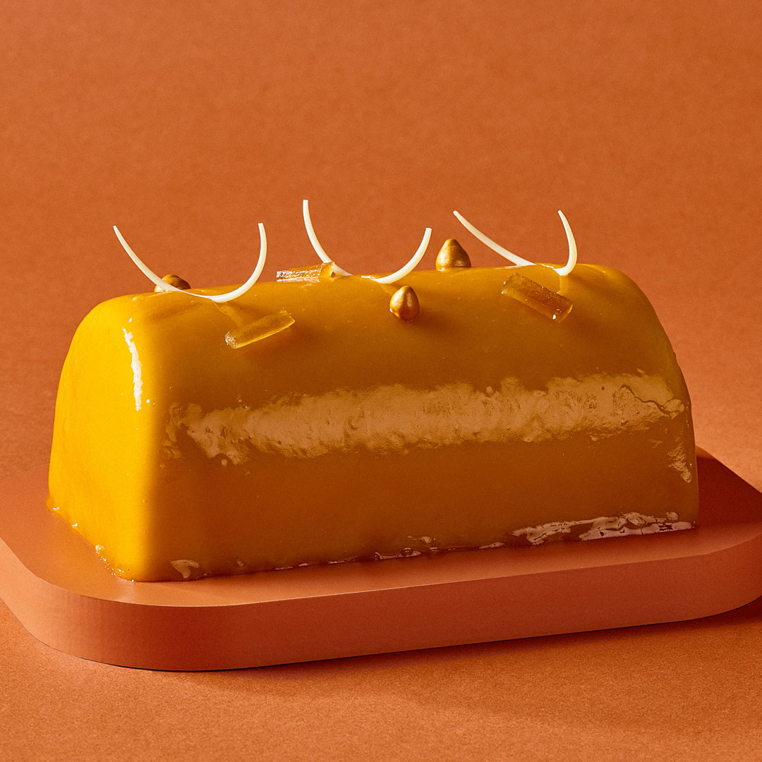 Bûche mangue passion